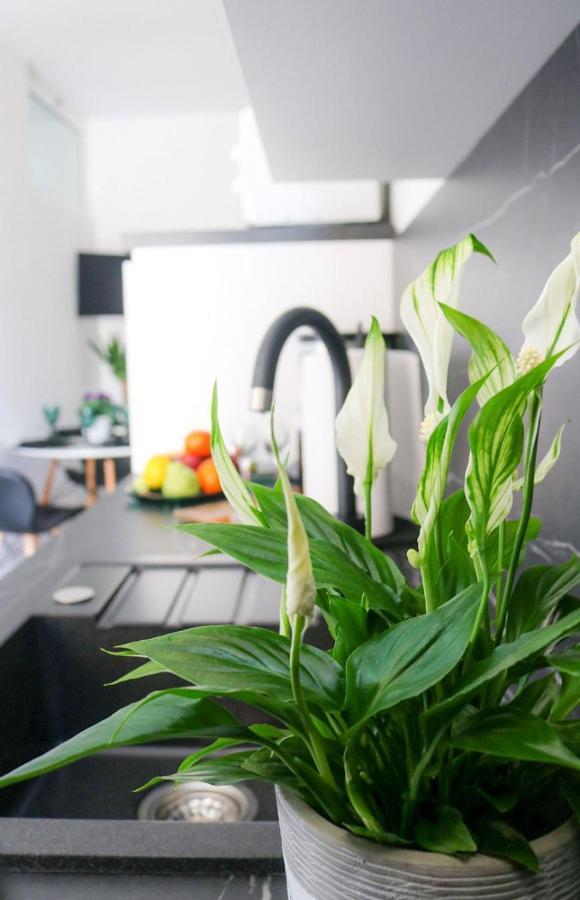 Cosmo Apartment Dubrovnik Ngoại thất bức ảnh